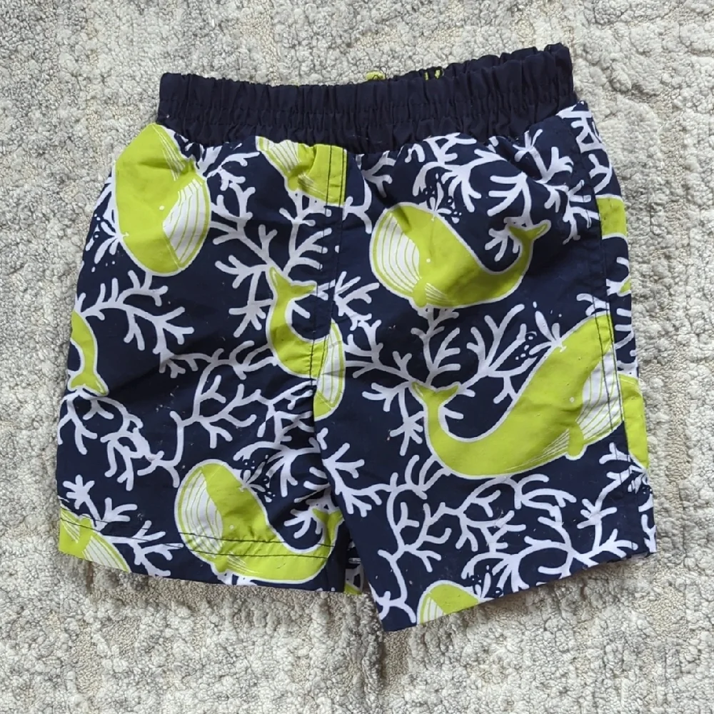 Cabana Life Navy and Lime Swim Shorts